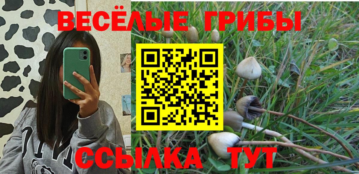 Псилоцибиновые грибы прущие грибы Серпухов