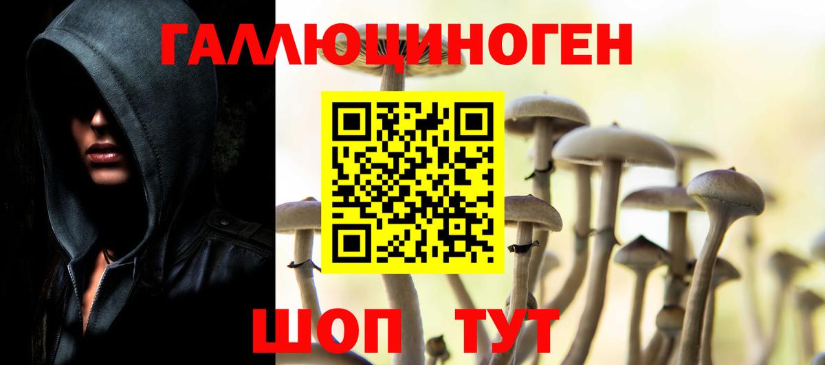 Серпухов  Псилоцибиновые грибы Psilocybine cubensis  Вход с VPN 